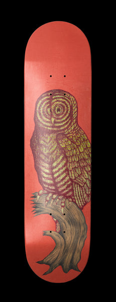OWL MODEL 8.25