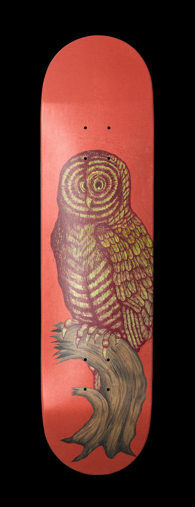 OwL デモ OWL MODEL 8.25